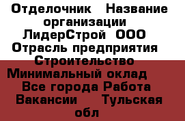 Отделочник › Название организации ­ ЛидерСтрой, ООО › Отрасль предприятия ­ Строительство › Минимальный оклад ­ 1 - Все города Работа » Вакансии   . Тульская обл.